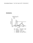 Microcarriers for Stem Cell Culture diagram and image