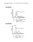 Microcarriers for Stem Cell Culture diagram and image