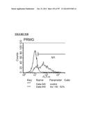 Microcarriers for Stem Cell Culture diagram and image