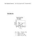 Microcarriers for Stem Cell Culture diagram and image