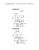 Microcarriers for Stem Cell Culture diagram and image