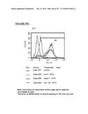 Microcarriers for Stem Cell Culture diagram and image