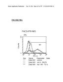 Microcarriers for Stem Cell Culture diagram and image