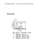 Microcarriers for Stem Cell Culture diagram and image