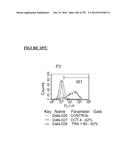 Microcarriers for Stem Cell Culture diagram and image