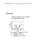 Microcarriers for Stem Cell Culture diagram and image