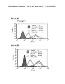 Microcarriers for Stem Cell Culture diagram and image