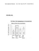 Microcarriers for Stem Cell Culture diagram and image