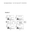 Microcarriers for Stem Cell Culture diagram and image