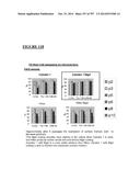 Microcarriers for Stem Cell Culture diagram and image