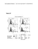 Microcarriers for Stem Cell Culture diagram and image