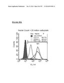 Microcarriers for Stem Cell Culture diagram and image