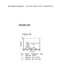 Microcarriers for Stem Cell Culture diagram and image