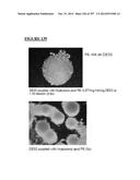 Microcarriers for Stem Cell Culture diagram and image