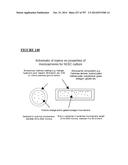 Microcarriers for Stem Cell Culture diagram and image