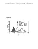 Microcarriers for Stem Cell Culture diagram and image