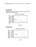 Microcarriers for Stem Cell Culture diagram and image