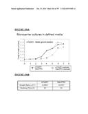 Microcarriers for Stem Cell Culture diagram and image