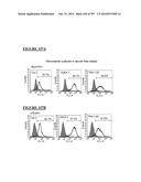 Microcarriers for Stem Cell Culture diagram and image