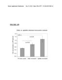 Microcarriers for Stem Cell Culture diagram and image