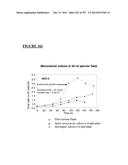 Microcarriers for Stem Cell Culture diagram and image