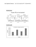 Microcarriers for Stem Cell Culture diagram and image