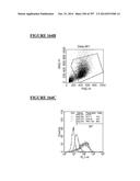 Microcarriers for Stem Cell Culture diagram and image