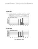 Microcarriers for Stem Cell Culture diagram and image