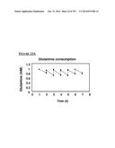 Microcarriers for Stem Cell Culture diagram and image