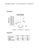 Microcarriers for Stem Cell Culture diagram and image