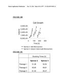 Microcarriers for Stem Cell Culture diagram and image