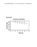 Microcarriers for Stem Cell Culture diagram and image