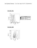 Microcarriers for Stem Cell Culture diagram and image