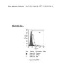 Microcarriers for Stem Cell Culture diagram and image