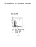 Microcarriers for Stem Cell Culture diagram and image