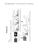 Microcarriers for Stem Cell Culture diagram and image