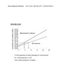 Microcarriers for Stem Cell Culture diagram and image