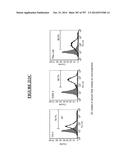 Microcarriers for Stem Cell Culture diagram and image