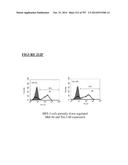 Microcarriers for Stem Cell Culture diagram and image