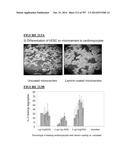 Microcarriers for Stem Cell Culture diagram and image