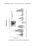 Microcarriers for Stem Cell Culture diagram and image