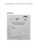 Microcarriers for Stem Cell Culture diagram and image