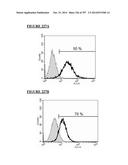 Microcarriers for Stem Cell Culture diagram and image