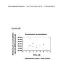 Microcarriers for Stem Cell Culture diagram and image