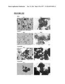 Microcarriers for Stem Cell Culture diagram and image