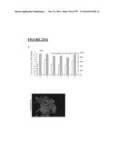 Microcarriers for Stem Cell Culture diagram and image