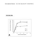 Microcarriers for Stem Cell Culture diagram and image