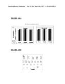 Microcarriers for Stem Cell Culture diagram and image