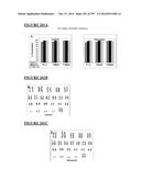 Microcarriers for Stem Cell Culture diagram and image