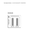 Microcarriers for Stem Cell Culture diagram and image